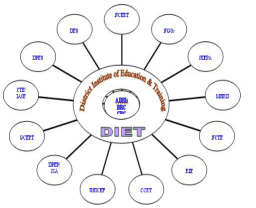 Organization Structure